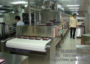 微波快餐加熱殺菌設(shè)備 高效滅菌的現(xiàn)代食品加工利器